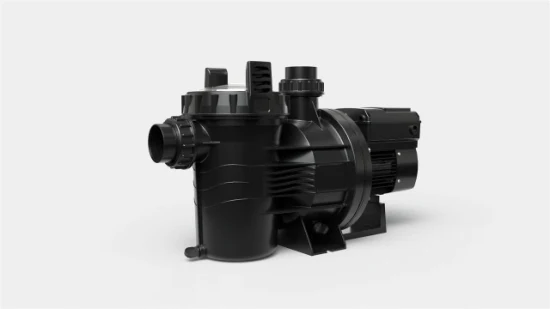 Nsz1250 14HP SS304/316L Bomba de circulação de filtragem de água de piscina comercial com CE, ETL, UL, FCC, RoHS