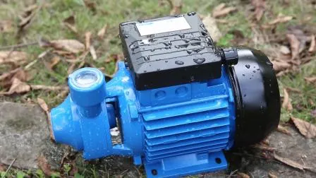 Rotor de latão fundido de ferro elétrico periférico Vortex Micro bomba de água de superfície automática Graden Pump para irrigação agrícola (QB60)